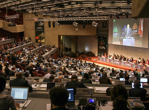 Los preparativos se intensifican para las triples conferencias de las Partes (CdP) de 2017: Ginebra, Suiza