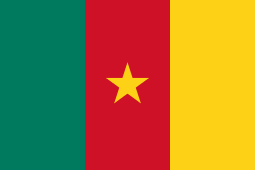 Cameroon submits 23 import responses