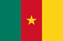 Cameroun soumet 23 réponses sur l'importation