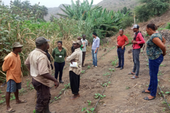 Escuelas de campo de agricultores ayudan a las comunidades rurales de Cabo Verde