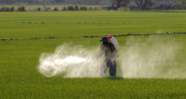 Inscrivez-vous maintenant au webinaire sur le «Orientation transversale sur des évaluations des risques liés aux pesticides»